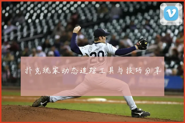扑克玩家动态追踪工具与技巧分享