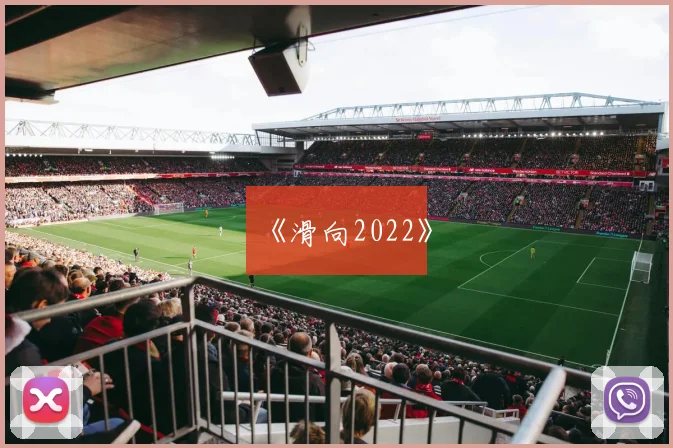《滑向2022》