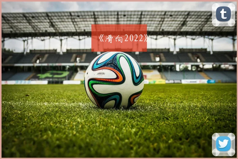 《滑向2022》