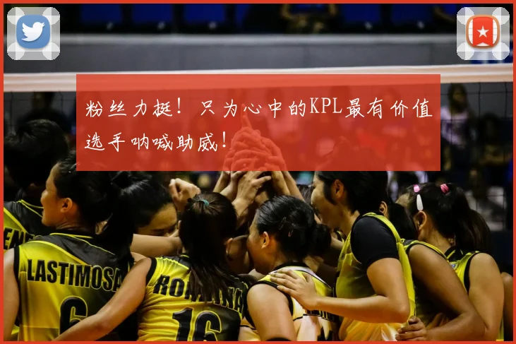 粉丝力挺！只为心中的KPL最有价值选手呐喊助威！