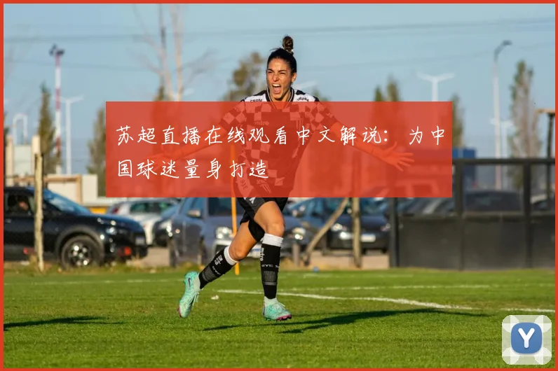 苏超直播在线观看中文解说：为中国球迷量身打造